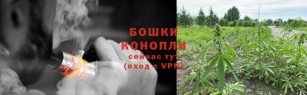 гидропоника Бугульма