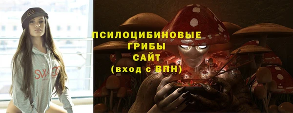 дурь Бронницы