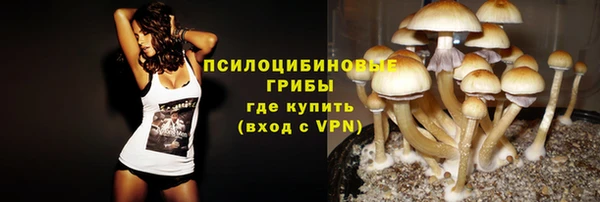 дурь Бронницы
