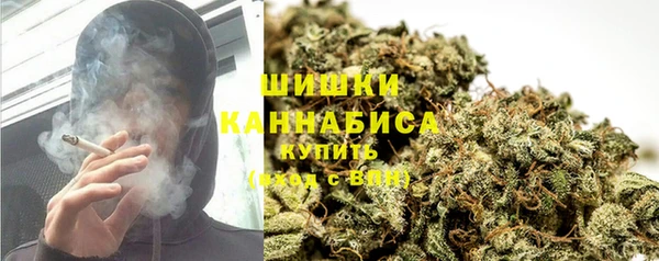 гидропоника Бугульма